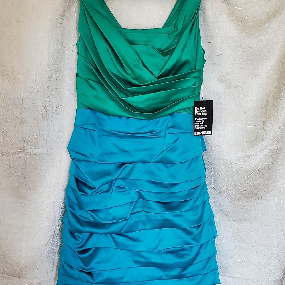Express Rushed Mini Silk Dress